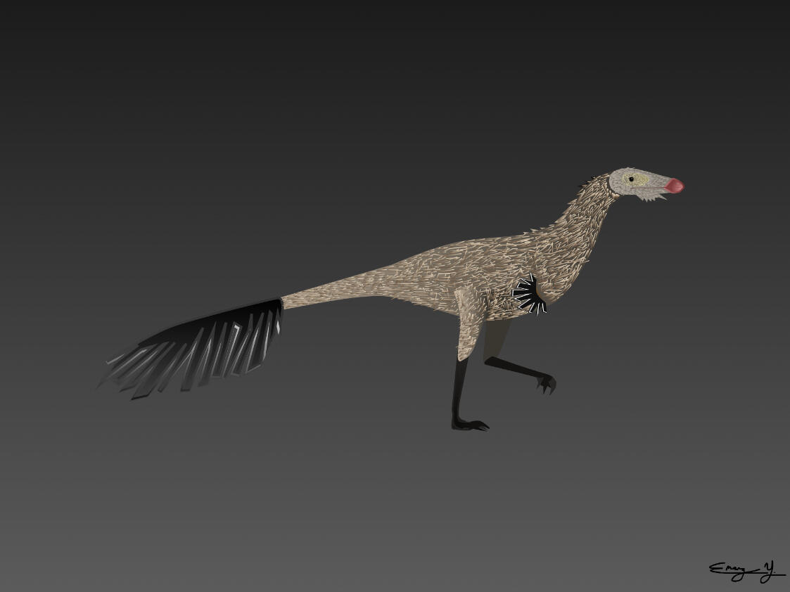 Mononykus